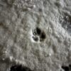 Thumbnail of related posts 130