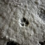 Thumbnail of post image 165