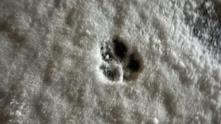 Thumbnail of post image 065