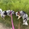 Thumbnail of new posts 086