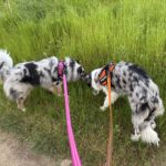Thumbnail of post image 142