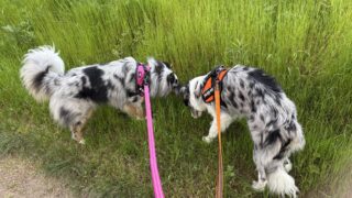 Thumbnail of post image 071