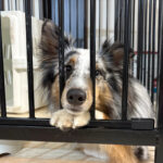 Thumbnail of post image 008