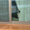 Thumbnail of new posts 115