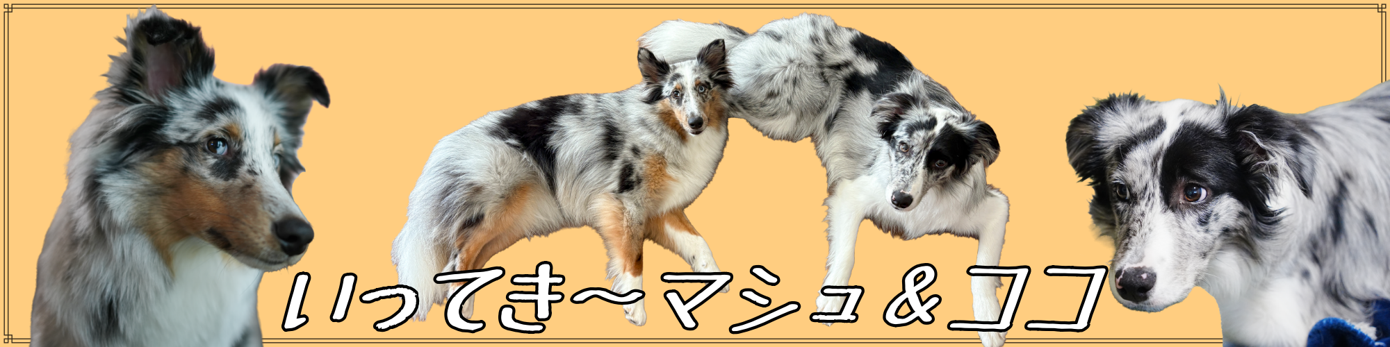 いってきマシュ！